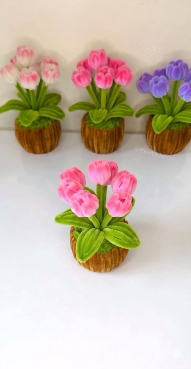 Tulipanes en maceta